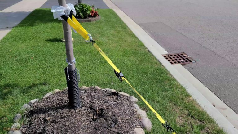 How to fix leaning tree and fence post with DIY tool? – DIYable.com